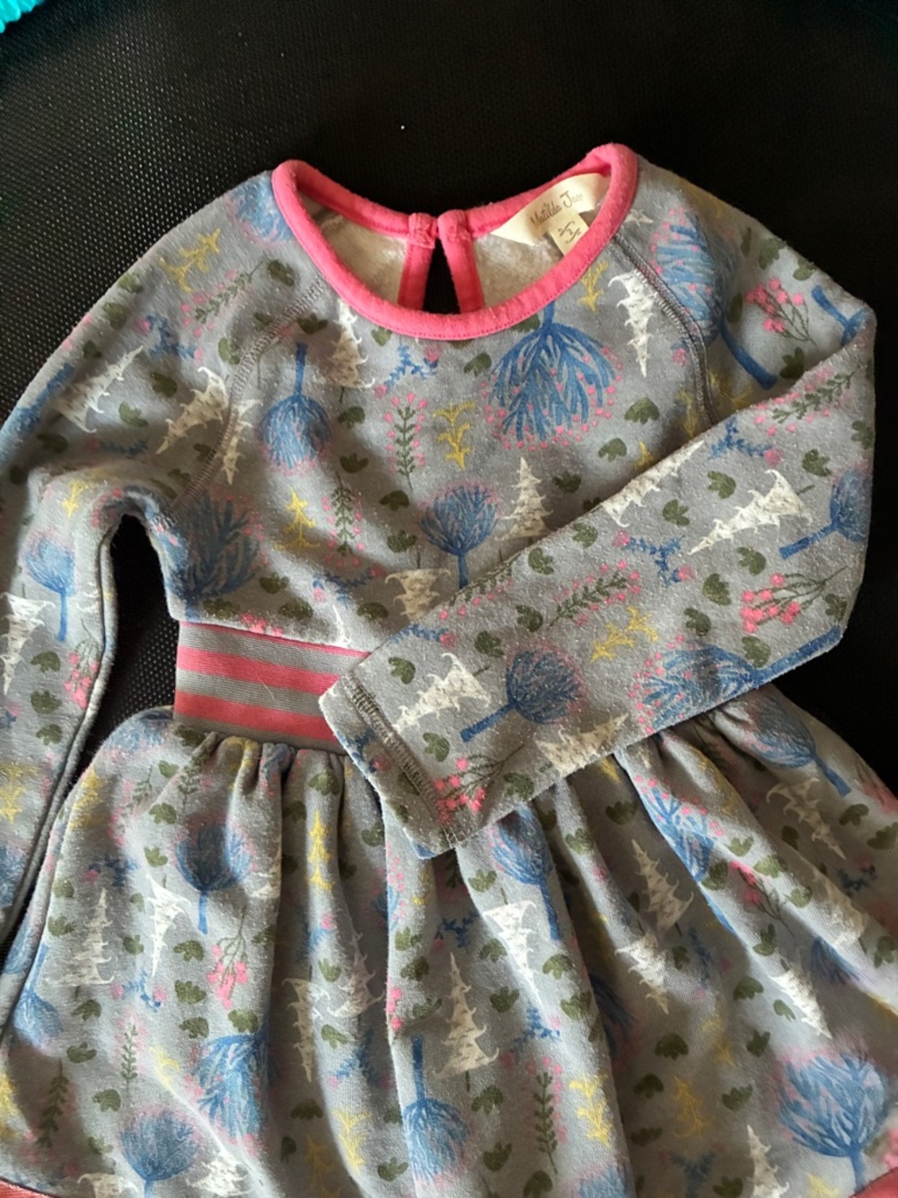 Matilda Jane Woodland Print Long Sleeve Dress (sweatshirt) with Pink Trim